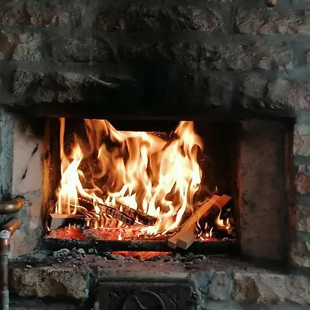 Salas Farma 47-miris Dunja Cenej