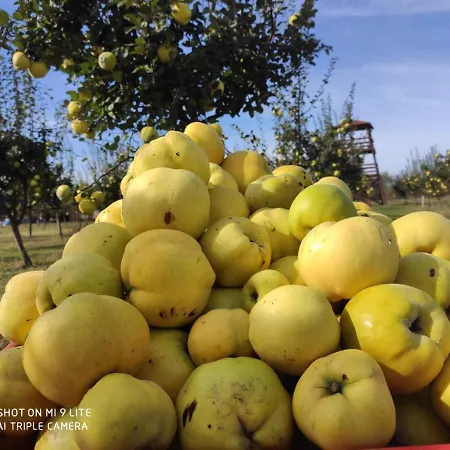 Salas Farma 47-miris Dunja 4*