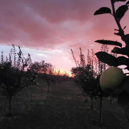 krevet i doručak Salas Farma 47-miris Dunja Cenej