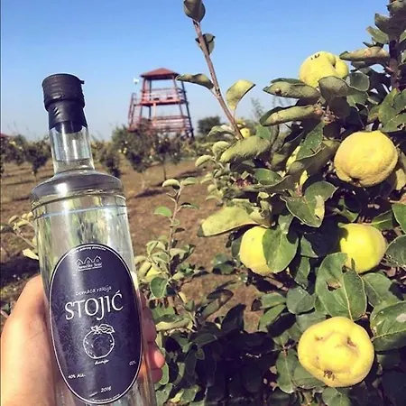 Salas Farma 47-miris Dunja krevet i doručak 4*