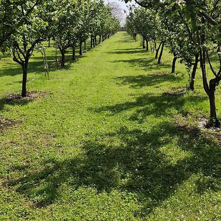 krevet i doručak Salas Farma 47-miris Dunja 4*