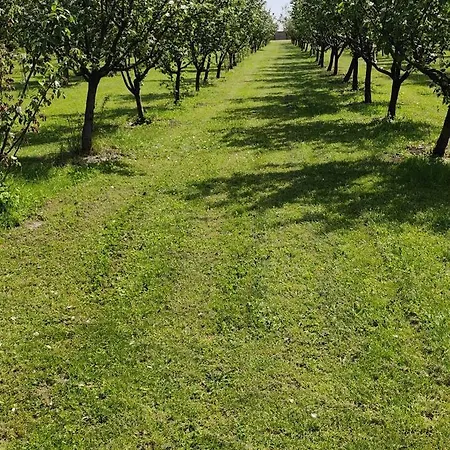 Salas Farma 47-miris Dunja Bed & Breakfast Cenej
