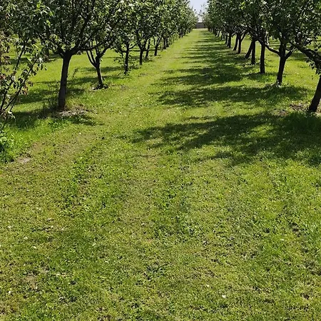 Salas Farma 47-miris Dunja krevet i doručak Cenej