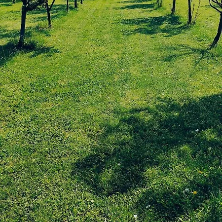 Salas Farma 47-miris Dunja