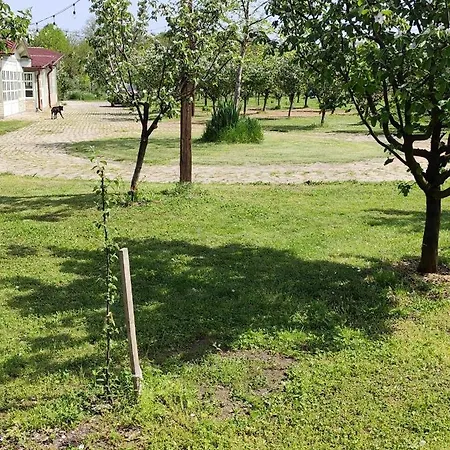Salas Farma 47-miris Dunja Bed & Breakfast