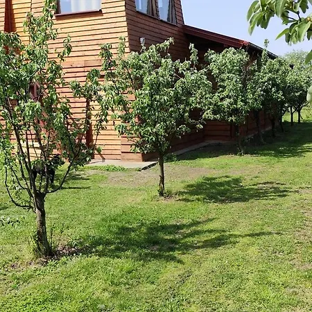 Bed & Breakfast Salas Farma 47-miris Dunja Cenej