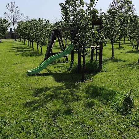 Salas Farma 47-miris Dunja Cenej