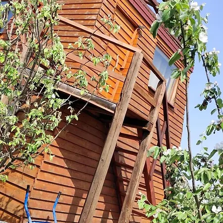 Salas Farma 47-miris Dunja Bed & Breakfast Cenej