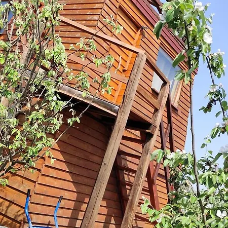 Salas Farma 47-miris Dunja krevet i doručak Cenej