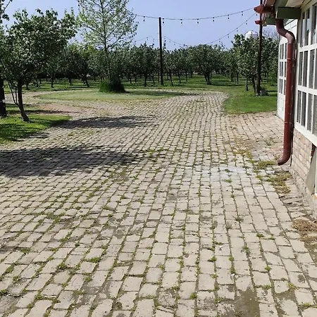 krevet i doručak Salas Farma 47-miris Dunja Cenej