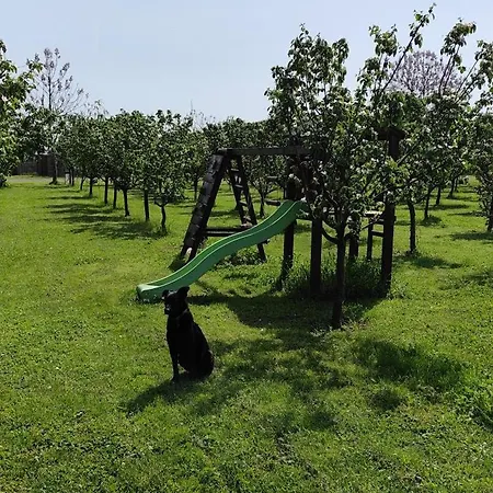 Salas Farma 47-miris Dunja Cenej