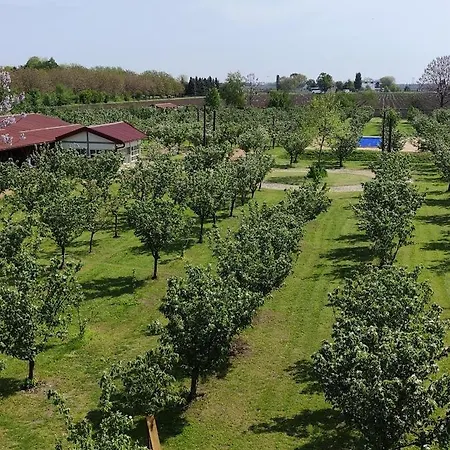 Salas Farma 47-miris Dunja 4* Cenej