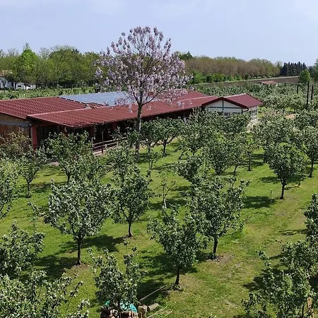 Salas Farma 47-miris Dunja Bed & Breakfast