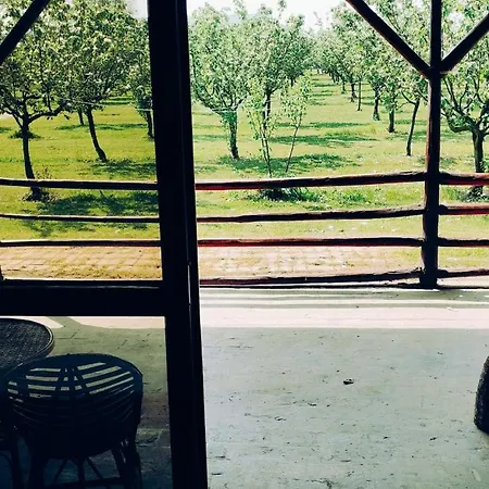 Salas Farma 47-miris Dunja Bed & Breakfast Cenej