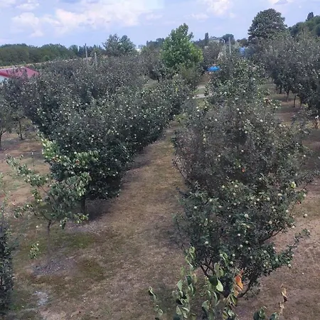 Salas Farma 47-miris Dunja 4* Cenej