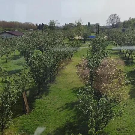 Bed & Breakfast Salas Farma 47-miris Dunja Cenej