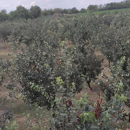 Salas Farma 47-miris Dunja krevet i doručak 4*