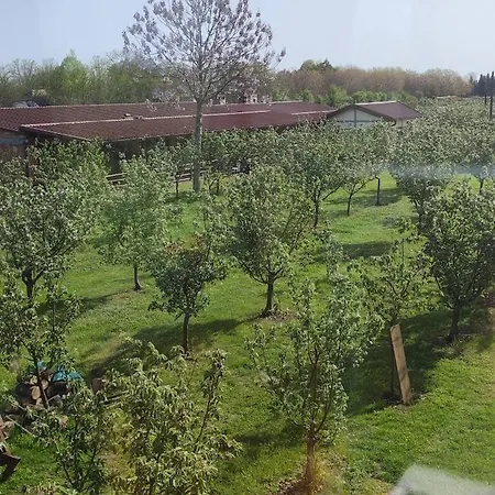 krevet i doručak Salas Farma 47-miris Dunja 4*